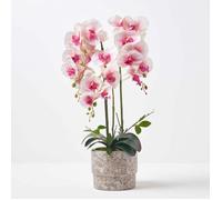 Orchidée artificielle rose en pot en ciment naturel 64 cm