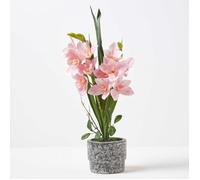 HOMESCAPES Orchidée Artificielle Rose en Pot foncé en Ciment, Fleurs artificielles déco 58 cm