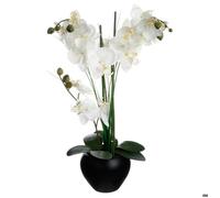 Orchidée et vase en céramique - 50 x 28 x 53 cm - Noir Noir G
