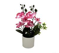 Orchidée bonsaï artificielle pour une utilisation en intérieur, plante phalaenopsis réaliste pour décoration de maison et de bureau (rose)