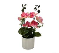 Orchidée bonsaï artificielle pour une utilisation en intérieur, plante phalaenopsis réaliste pour la décoration de la maison et du bureau (rose rouge)