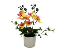 Orchidée bonsaï artificielle pour une utilisation en intérieur, plante phalaenopsis réaliste pour la décoration de la maison et du bureau (jaune)