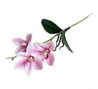 Orchidée cymbidium artificielle avec construction en film flexible et support en plastique souple pour un placement d'angle dynamique (rose)