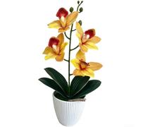 Orchidée cymbidium compacte en pot pour mini pot de fleurs, décoration intérieure, salon, couloir, entrée, étagère (jaune)