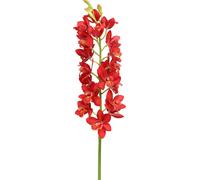 Orchidée Cymbidium Rouge 78cm Fleur artificielle Deko RealTouch