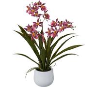 Orchidée de Gambie artificielle 50 cm dans un pot en céramique blanc - variété de couleurs disponible
