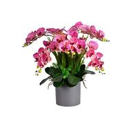 Orchidée de Papillon de Papillon des Fleurs phalaenopsis de Soie Artificielle avec Une Fausse décoration de Mariage de Plante pour la Table de Bureau de Table de Bureau (Couleur: C)