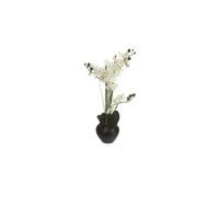 Orchidée et vase en céramique - 50 x 28 x 53 cm - Noir