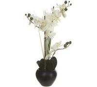 Orchidée et vase en céramique - 50 x 28 x 53 cm - Noir