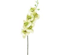 Orchidée Fleur artificielle Jaune Vert 83cm Phalaenopsis Deko