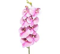 Orchidée fleur artificielle Real-Touch rose 8 fleurs 104cm