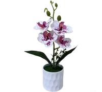 Orchidée imprimée 3D à base de botanique Phalaenopsis pour une touche d'intérieur réaliste sans exigences environnementales ni entretien continu (cœur violet blanc)