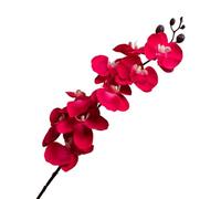 Orchidée papillon élégante en soie dans un arrangement élégant de 9 fleurs, idéal pour les événements (C)