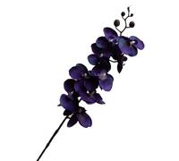 Orchidée papillon en soie élégante dans un arrangement élégant de 9 fleurs, idéal pour les événements (U)
