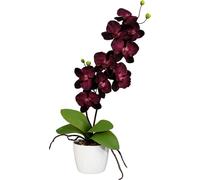 Orchidée Phalaenopsis 60 cm avec 9 fleurs, lilas dans un élégant pot en céramique de 13 cm