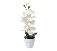 Orchidée phalaenopsis artificielle 28 cm au toucher réel (blanc) | Pot rayé blanc inclus, pas besoin de vase, s'adapte aux tables de chevet, tables basses, décoration moderne