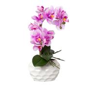 Orchidée Phalaenopsis artificielle 33 cm dans un pot en céramique blanc - facile d'entretien & décoratif