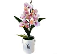 Orchidée phalaenopsis artificielle avec cinq fleurs réalistes et pot de fleurs à motif de cerf, fleurs artificielles élégantes pour maison, hôtel, restaurant, décoration de table, étagère, (rose