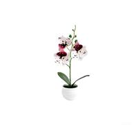 Orchidée phalaenopsis artificielle en pot avec 3 fleurs naturelles pour toile de fond d'événement de mariage, portrait et étagère ou bureau (pois blancs violets)
