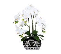Orchidée Phalaenopsis Plantes Artificielles 55 CM Blanc En Couleur Argenté Vase