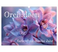 Orchideen - farbenfroh durchs Jahr (Wandkalender 2026 DIN A3 quer), CALVENDO Monatskalender: Motivkalender Orchideen