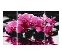 Schipper – Tableau à dessin – Orchidées (Triptychon) – 40 x 50 cm – 609260603