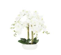 Orchidées artificielles - LIGNE DECO - Phalaenopsis - 35 fleurs - 6 hampes florales - 18 boutons