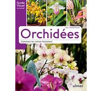 Orchidées - Comment les cultiver facilement