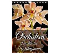 Orchidées - des plantes exotiques dans le salon, Version française (Calendrier mural 2026 DIN A4 portrait), Calendrier CALVENDO mensuel