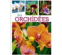 Orchidées Marcel Lecoufle (Auteur)