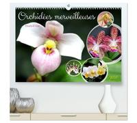 Orchidées merveilleuses (Calendrier mural haut de gamme 2027 DIN A2 vertical), CALVENDO calendrier mensuel: Des fleurs fascinantes d'une grande diversité