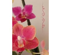 ORCHIDS BEAUTY Notebook Life Journal, Nature themed Art Daily book, Keepsake Manifestation Diary, Positive Vibes Register, Gift for Exotic Plant Lovers