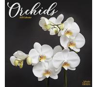Orchids Calendar 2025 Square Flowers Wall Calendar - 16 Month