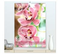 Orchids - Infinite Variety (High Quality Premium Wall Calendar 2026 DIN A2 portrait),CALVENDO 12 Month Wall Calendar: Diverse orchid flowers in expressive photographs