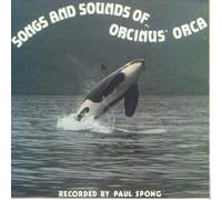 Orcinus Orca - Songs & Sounds of