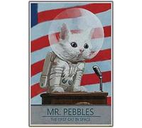 ORCOW Affiche en soie artistique Mr Pebbles - Fallout 4 Un nouveau chat dans l'espace - Impression sur toile murale amusante - Décoration moderne - 40 x 60 cm - Sans cadre