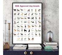ORCOW Affiches de décoration Murale, Le Diagramme des différentes Races de Chiens, Tableau d'anatomie, Impressions sur Toile, peintures pour la Maison, Art Mural, peintures imprimées - 30 x 40 cm
