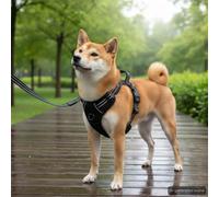 Ordellia Braun Ensemble harnais pour chien avec laisse et collier réglable, taille L, polyester, bandes réfléchissantes, rembourrage doux, pour l'entraînement, la marche, les voyages et la vie