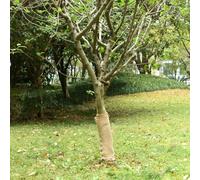 Ordellia Rouleau de Jute Naturel 0,5 x 5 m pour décoration intérieure, Artisanat Rustique, Protection de Table, création d'objets ornementaux, idéal pour fêtes, Mariages, pièces à Vivre