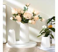 Ordeluxe Set de 3 Vases Décoratifs en Céramique Blanche - Grand et Petit Vase, Vase Fleur, Pampa - Parfait pour Décoration Maison et Salon