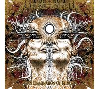 Order of Ennead - an Examination of Being