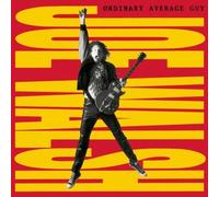 Ordinary Average Guy by Joe Walsh
