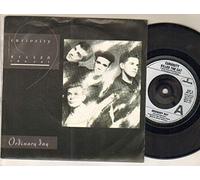 ORDINARY DAY 7" (45) UK MERCURY 1987 B/W BULLET (CAT3) PIC SLEEVE