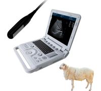 Ordinateur portable portable 15" Scanner vétérinaire à ultrasons Echographe pour animaux PW Pulsdoppler Cheval Vache Mouton Chameau