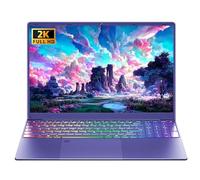 Ordinateur portable violet 16" 12 Go LPDDR5 RAM 512 Go NVMe SSD Alder Lake N95 CPU, 2K FHD (1920 x 1200) IPS écran rétroéclairé KB/empreintes digitales/Win 11 Pro PC pour études professionnelles (12