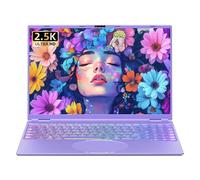 Ordinateur portable violet de 16", cadre ultra-étroit 2,5 K QHD IPS (2560 x 1600), en tel N95 (3,4 GHz), 16 Go de RAM 512 G SSD, rétroéclairage couleur, déverrouillage facial, USB-C/HDMI/WiFi/BT, Win