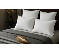 Oreiller 100 % kapok naturel : 60 x 60 cm / 2