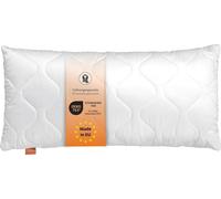 Oreiller 30 x 40 cm, coussin décoratif, 100% microfibres, convient aux personnes allergiques, sleepling Basic 100