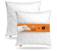 Oreiller 40 x 40 cm, set de 2, coussin de canapé, 100% microfibres, convient aux personnes allergiques, sleepling confort 100