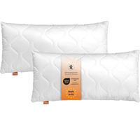 Oreiller 40 x 80 cm, set de 2, oreiller de lit, 100% microfibres, convient aux personnes allergiques, sleepling Basic 100